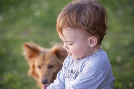 A selective focus of an Argentinian boy with a blurry dog backgroundの写真素材