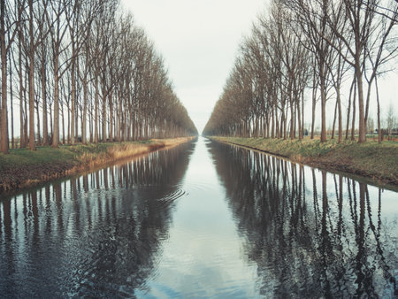 A beautiful view of a flowing river surrounded by trees in Damme, Belgiumの写真素材