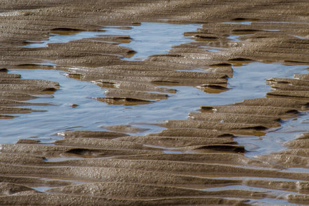 The wet sand texture at the beach