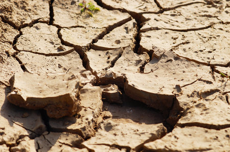 An eroded farmland in Frankfurt, Germany. After a short rain, the drought returns. Climate change is challenging agriculture.の写真素材