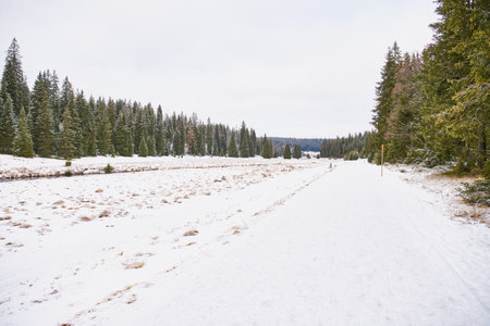 Winter landscape near Modrava in Sumava National Park
