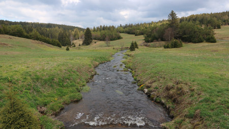 A beautiful stream surrounded by meadow and trees at Sumava, Czech republic
