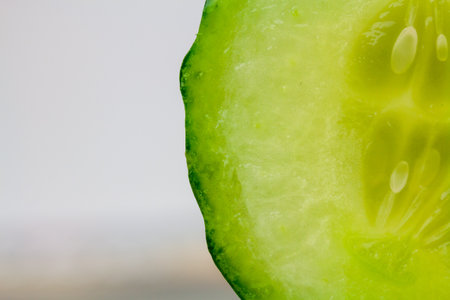 A cut green cucumber textureの写真素材