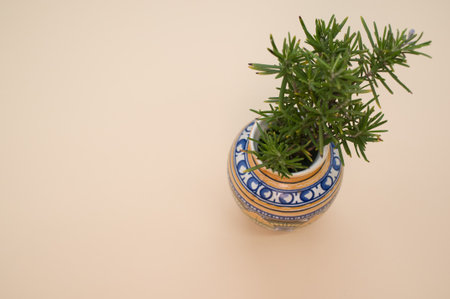A closeup of a traditional vase with rosemary branches isolated on cream surface for copy spaceの写真素材
