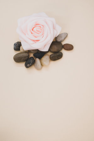 A closeup of an artificial pink rose surrounded by stoned on pastel peach surface for a copy spaceの写真素材