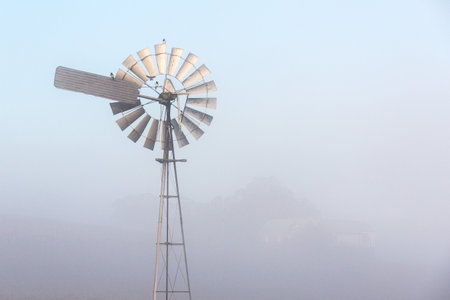 Small magpies perched on a windmill in rural Queensland, Australiaの写真素材