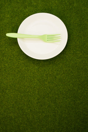 A vertical shot of a white plate with a plastic green fork on the grass with a copy space
