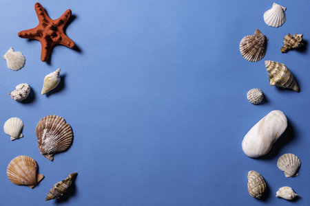A top view of sea shells and starfish on a blue backgroundの写真素材