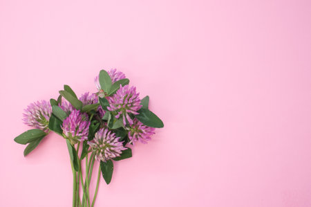 A top view of a bouquet of red clovers isolated on a pink background with space for textの写真素材