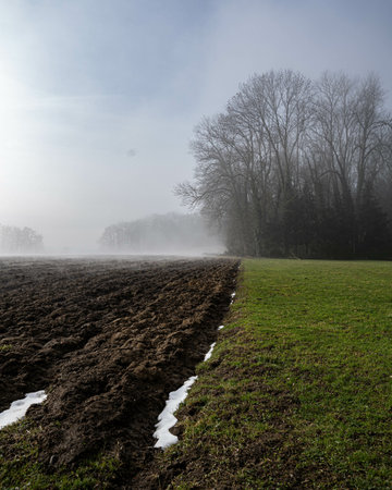 A vertical shot of a field covered in the grass and fog in the daytimeの写真素材