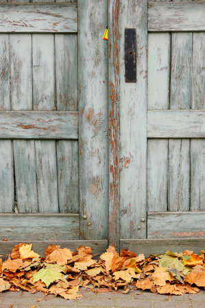 Autumn leaves in front of wooden doorの写真素材