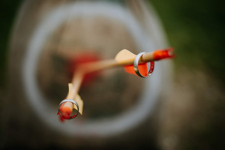 A closeup shot of two wedding rings hanging on wooden arrows