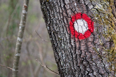 The image is taken while hikingの写真素材