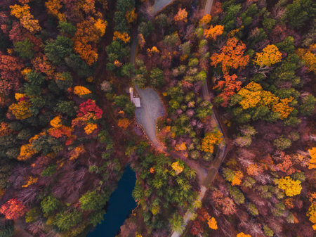 An aerial shot of a colorful forest in autumnの写真素材