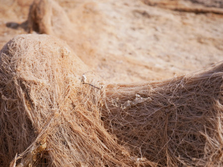 Seascape of the South of France during a sunny dayの写真素材