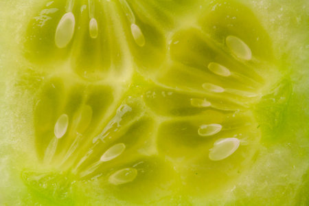 A cut green cucumber textureの写真素材