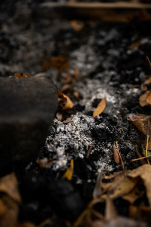 A vertical shot of dred leaves on the ground in autumn with a blurry background