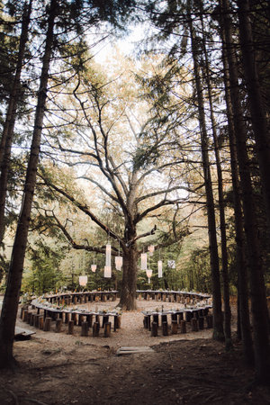 A beautifully designed wedding ceremony in the forestの写真素材