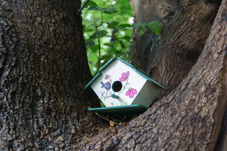 handmade houses for birds hand painted on the tree trunk in spring