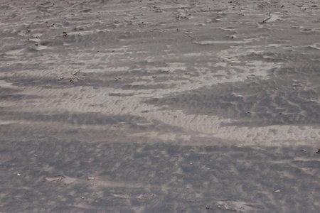 the soft gray sand of a beach - for textures and backgrounds