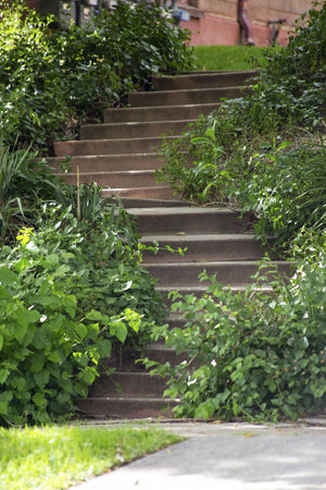 A vertical shot of the stairs surrounded by bushes and green plants in the park.の写真素材