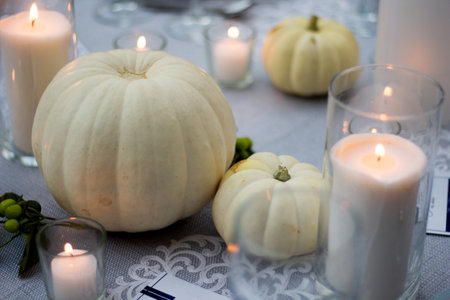 fall dinner in a open gardenの写真素材