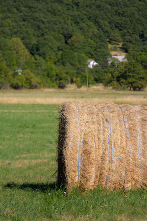 A bale of hay in a field in the countrysideの写真素材