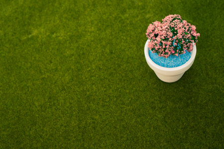 A closeup of a flower pot with an ornamental blossom tree on the grass with a copy spaceの写真素材