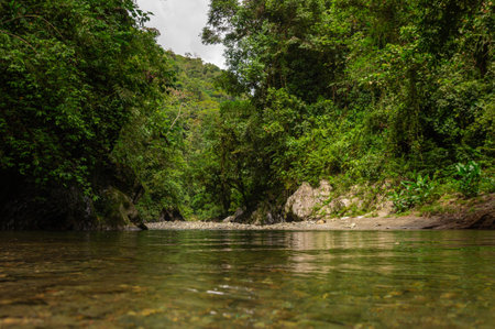 A beautiful landscape with a pond among green vegetationの写真素材