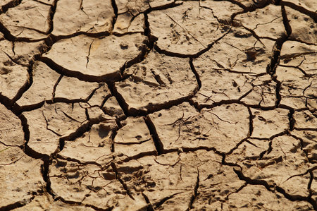 An eroded farmland in Frankfurt, Germany. After a short rain, the drought returns. Climate change is...