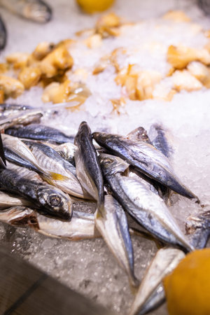 A closeup shot of fresh fish on ice
