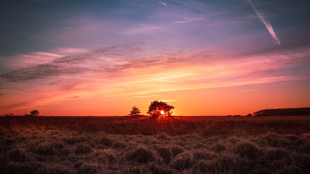 A beautiful landscape of the grassland and the sunset on the horizonの写真素材