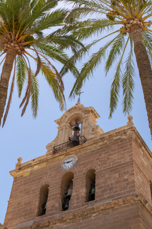 A vertical shot of the Almeria Cathedral and palm trees under a blue sky and sunlight in Spainの写真素材