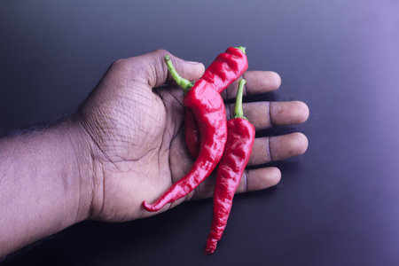 A rough male hand holding red hot chilli peppers in the dark background