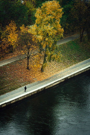 A vertical high angle shot of autumn trees near a river