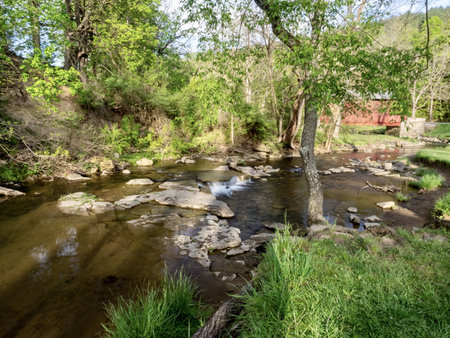 A closeup shot of a beautiful park landscape with pond and green trees