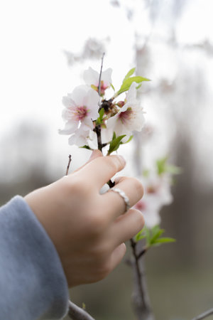A vertical shot of a person's hand holding an almond sprigの写真素材