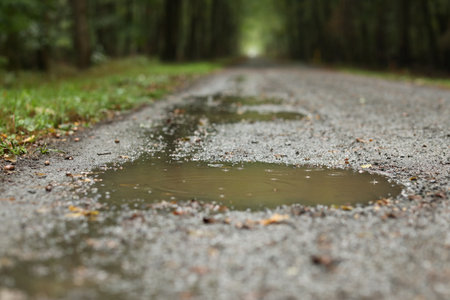 A soft focus of a small puddle of rainwater on a road through a forest parkの写真素材