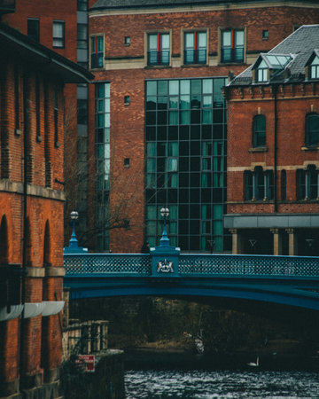 A vertical shot of a bridge and urban buildingsの写真素材
