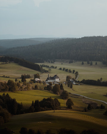 A beautiful view in the forest with a small, rural house surrounded by fir treesの写真素材