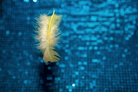A selective focus of a yellow feather on blue sequin fabric