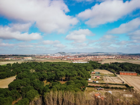 An aerial shot of houses on a brown farm field surrounded by treesの写真素材