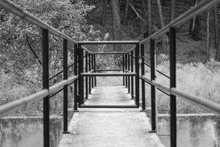 A grayscale shot of railing in a walk bridgeの写真素材