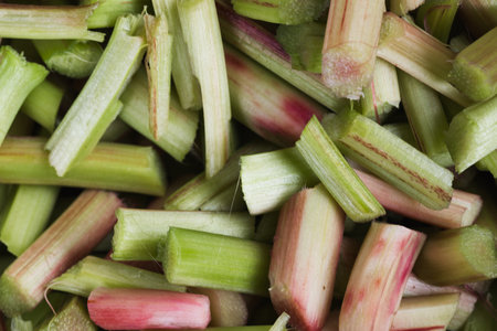 sliced rhubarb, raw food, green and red as background, close upの写真素材