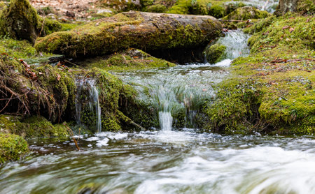 A scenic waterfall flowing into a creek in the autumn forestの写真素材