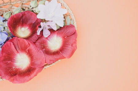 A studio shot of bright flowers in a small basketの写真素材