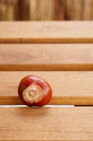 A vertical shot of a fresh chestnut on a wooden surfaceの写真素材
