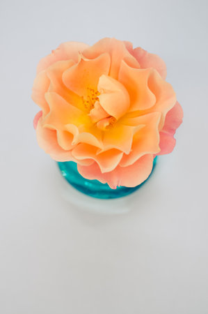 A vertical shot of a polymer clay flower isolated on a light-blue background with copyspace