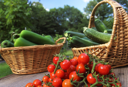 Summer Vegetable Harvest Tomato and Zucchiniの写真素材
