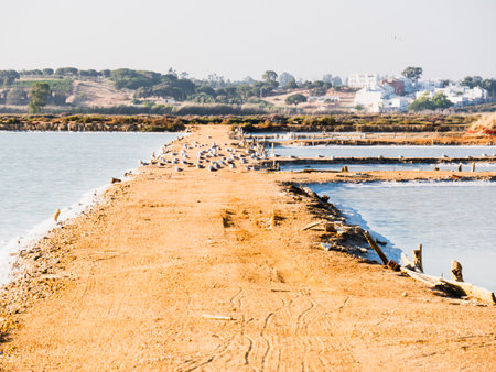 saltworks in Huelva, Spainの写真素材